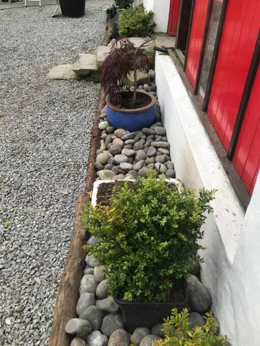 Stone Wall Cottage Castlewellan Exterior foto